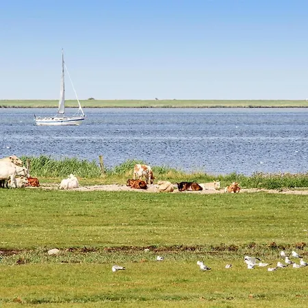 Stoertebekers Koje Hébergement de vacances Olpenitz